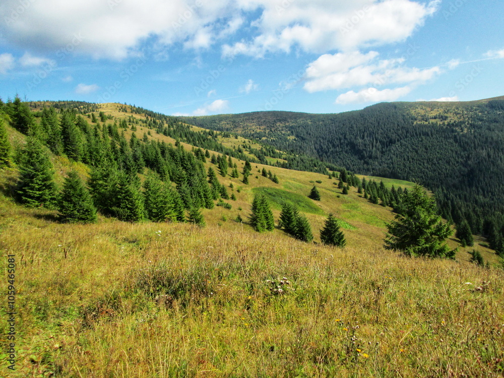 A serene mountain meadow with a view of distant peaks A serene mountain meadow with a view of distant peaks