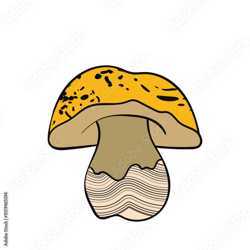 Set of mushrooms. Hand drawn vector illustration. Vegan food menu. Poisonous and edible mushroom. Autumn mushroom picking, forest plant sketches