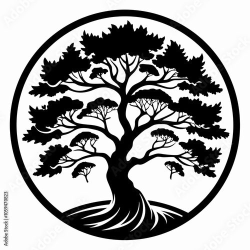 silhouette of a tree in a circle juniper tree black and white vector