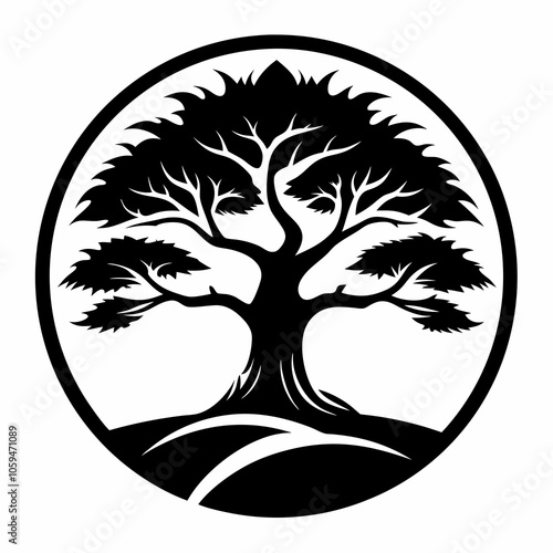 silhouette of a tree juniper tree black and white vector