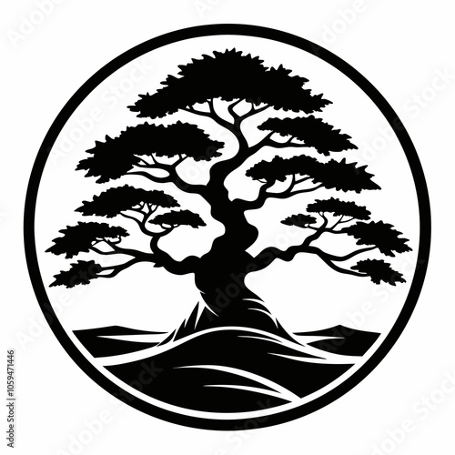 juniper tree black and white vector