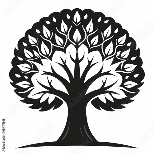 tree with roots linden tree black and white vector