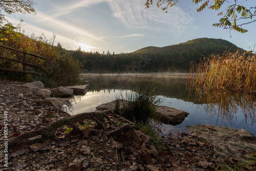 Forest landscape of Montiggl in Eppan in South Tyrol. photo