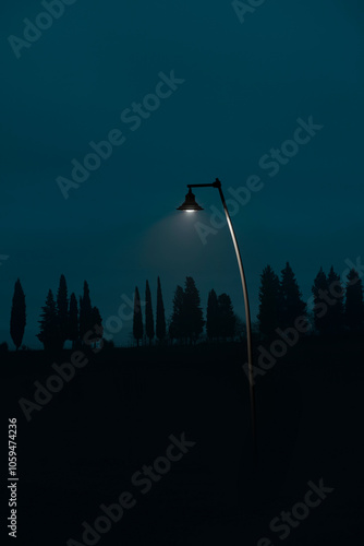 Street lamp illuminating a dark, foggy landscape

 photo