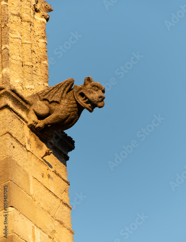 Walking in old part of Jerez de la Frontera, Sherry wine making town, Andalusia, Spain in summer, architectural details, Andalusian style, churches and towers photo