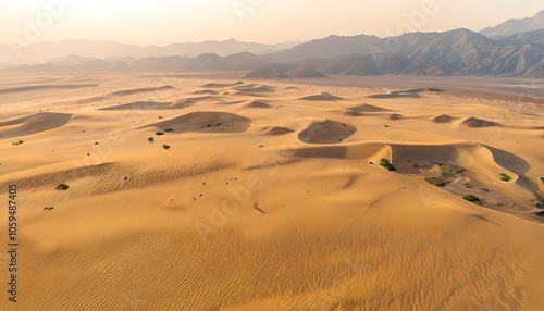 Karakum Desert, Turkmenistan photo