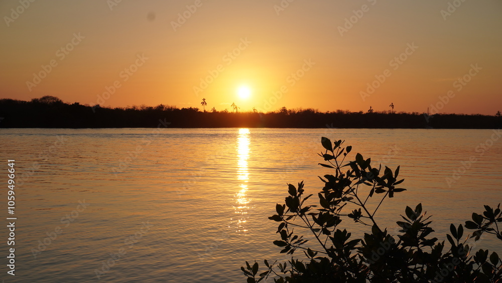 Fototapeta premium atardecer