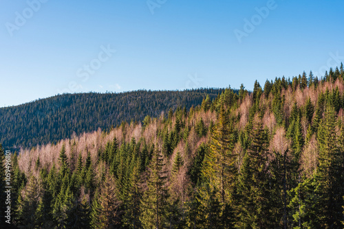 View from Frodalen Valley towards the Jenssæteråsen Hill, part of the Totenåsen Hills, Norway, in November. photo