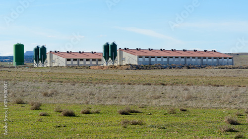 VISTA EXTERIOR DE UNA GRANJA DE CERDOS EN LA PROVINCIA DE TERUEL. ARAGÓN. ESPAÑA