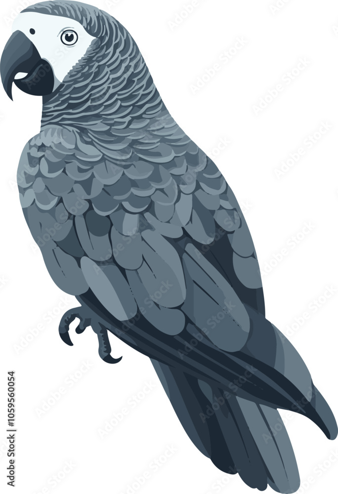 Fototapeta premium simple vector African gray parrot clipart