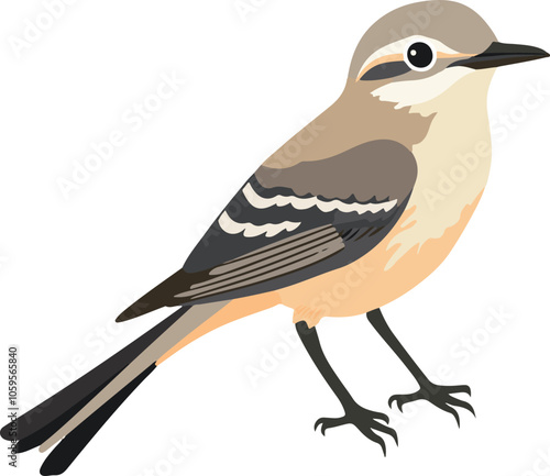 simple vector mockingbird clipart