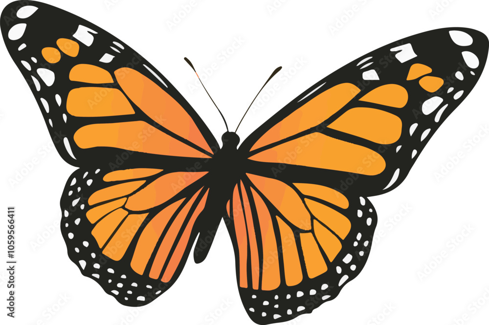 Fototapeta premium simple vector monarch butterfly clipart