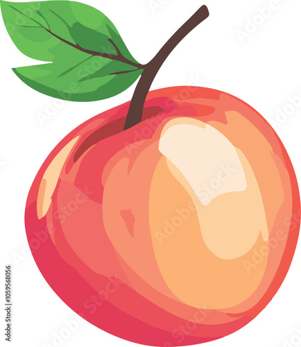simple vector nectarine clipart