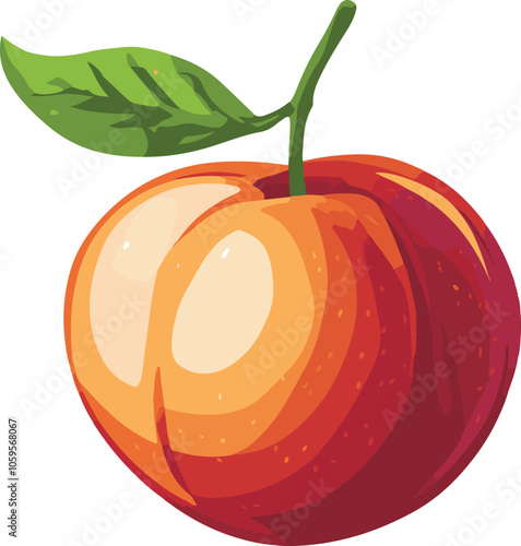 simple vector nectarine clipart