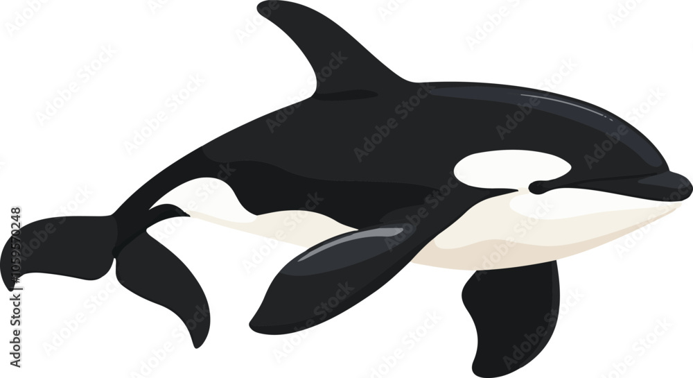 Obraz premium simple vector orca clipart