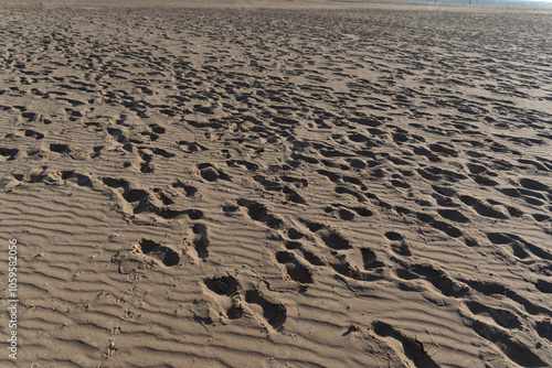 Footprints and Patterns on a Sandy Beach photo