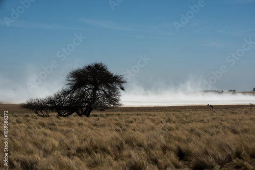 Strong wind blowing in a salt flat in La Pampa province, Patagonia, Argentina. photo