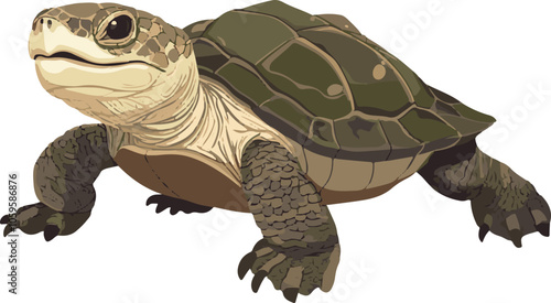 simple vector snapping turtle clipart