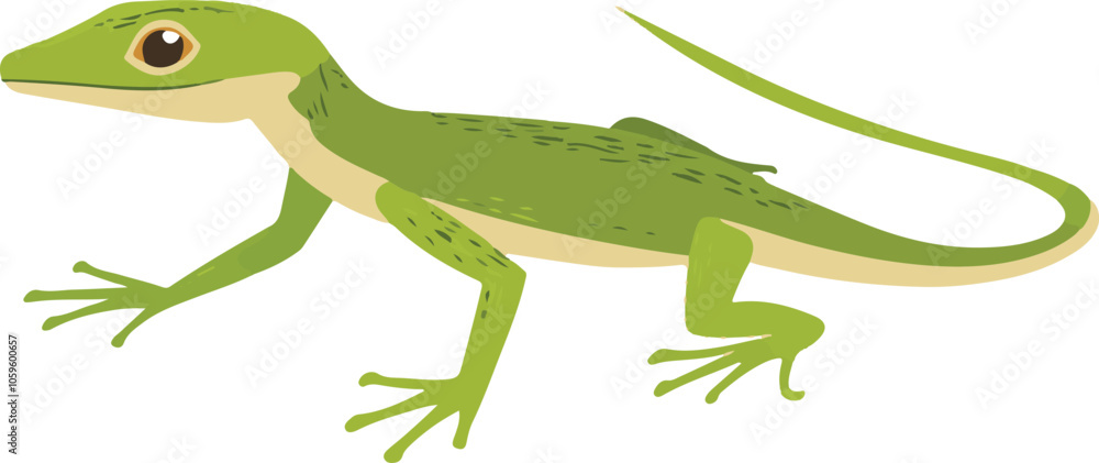 Fototapeta premium simple vector anole clipart