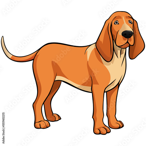 Bracco Italiano dog breed vector illustration isolated on white background in cartoon style.