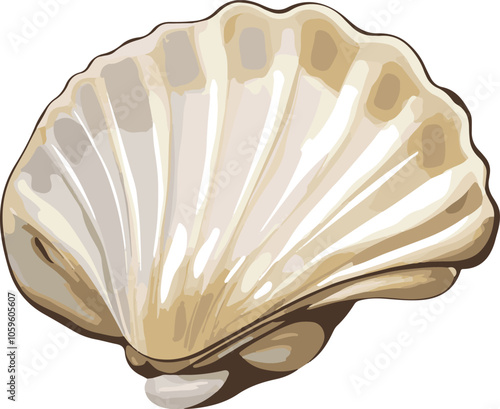simple vector bivalve clipart