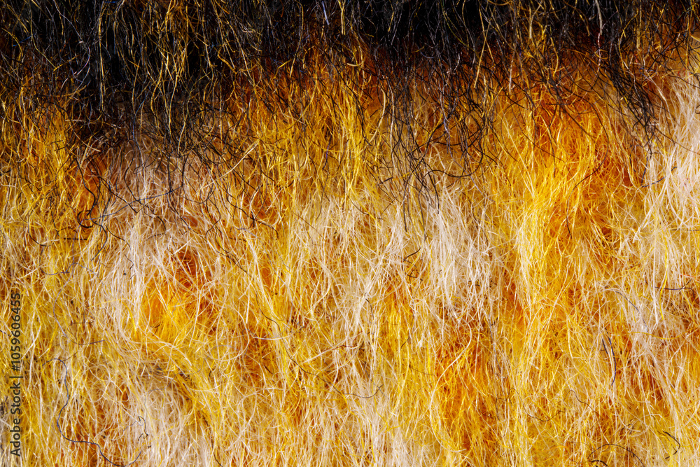 cashmere fiber cloth macro detail texture cashmere fiber cloth macro detail texture