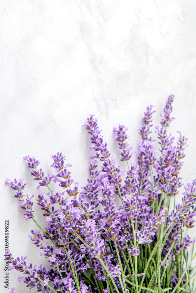 Fototapeta premium Vertical Sprigs of lavender flowers on a white background. Lavender blossoms. Bunch of lavender.