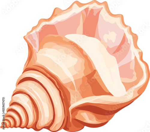 simple vector conch clipart