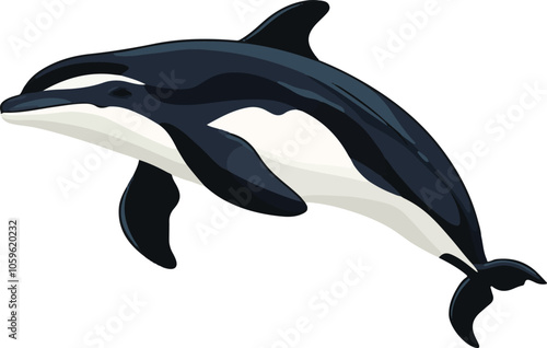 simple vector Dalls porpoise clipart photo