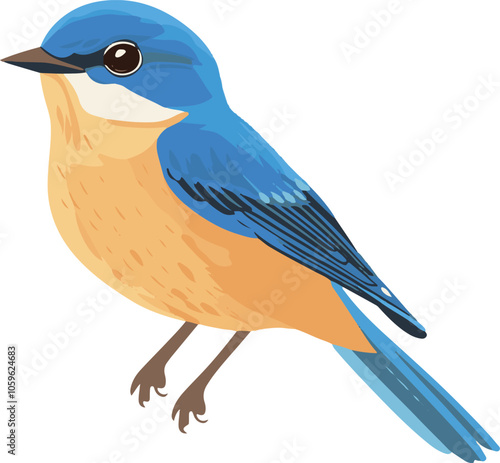 simple vector eastern bluebird clipart