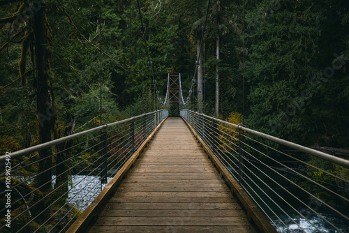 Empty bridge hovering over the Skokomish River along the Staircase Loop during the autumn season in the Pacific Northwest, Washington, United States. photo