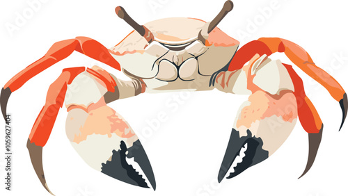 simple vector fiddler crab clipart