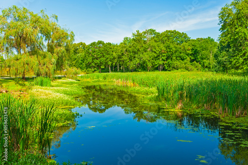 Nyquist-Harcourt Wildlife Sanctuary With ponds and wetlands remaining on the Wallkill River, New Paltz, New York state