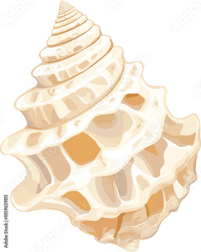 simple vector knobbed whelk clipart