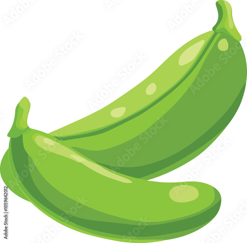 simple vector lima bean clipart