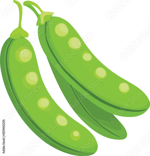 simple vector lima bean clipart