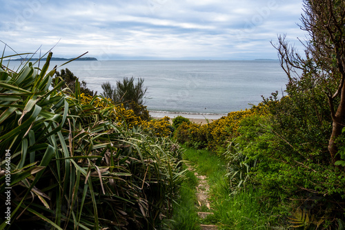 Del Fuerte Ahui a la Playa: Sendero de Aventura