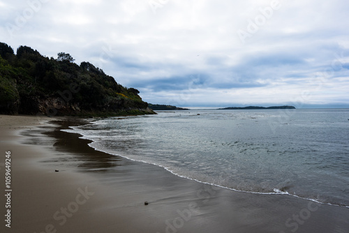 Encuentro de Elementos: Playa y Bosque en Armonía photo