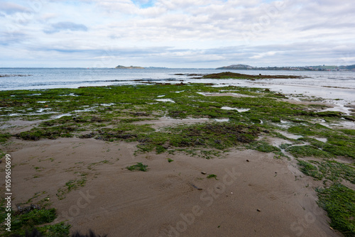 Textura Marina: La Playa de las Algas