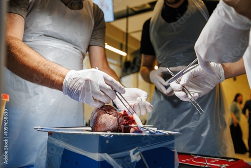 Medical students performing heart dissection in lab.