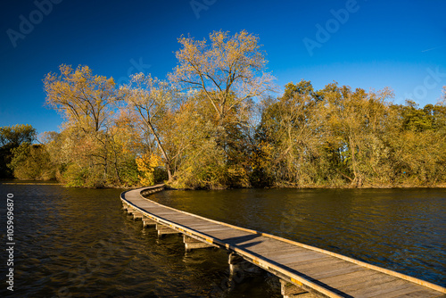 Vestec pond in Autumn, October 2021, Czech Republic photo