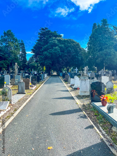 Photography Dublin, Ireland - city and countryside landscape