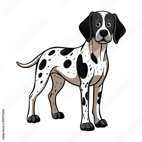 Braque d'Auvergne dog breed vector illustration isolated on white background in cartoon style.