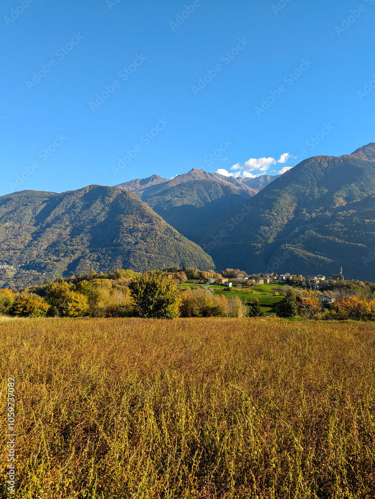 Fototapeta premium autumn in the mountains