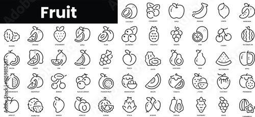 Set of outline fruit icons. Minimalist thin linear web icon set. vector illustration.