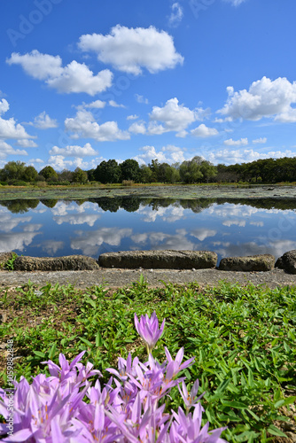 富山県中央植物園の湖畔、秋の雲が池に見事に反射、水鏡になって美しい photo