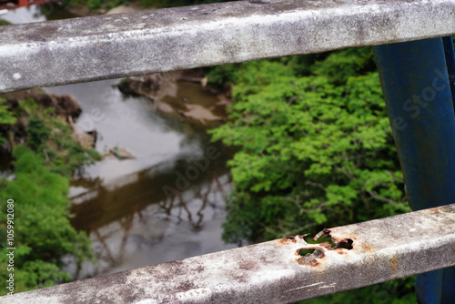 【エコイメージ】夏の田舎の風景