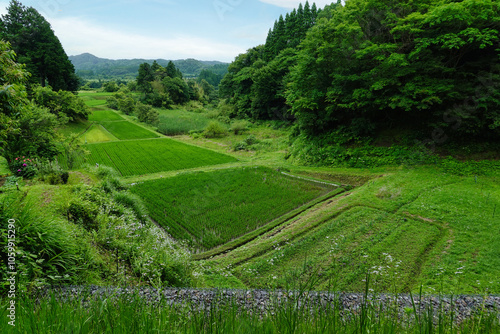 Obraz na płótnie 【エコイメージ】夏の田舎の風景 w salonie