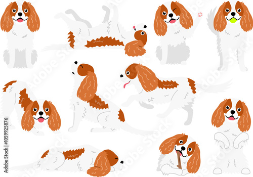 cavalier king Charles spaniel pose bundle