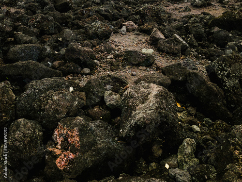 des roches volcaniques eteintes forment une coulée solideavec des couleurs changeantes